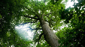 Mental coachen kan hjælpe dig, når hovedet ikke vil